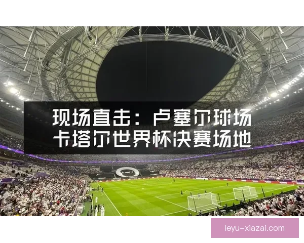 26届世界杯场地全景揭秘与精彩赛事回顾盘点新亮点